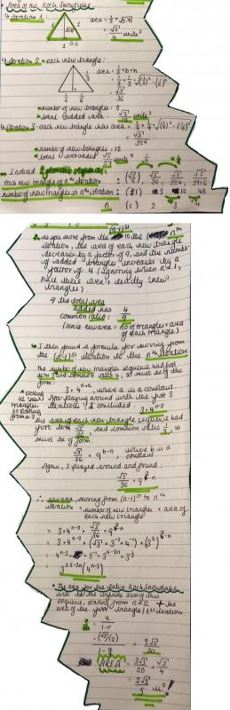 The Koch Snowflake