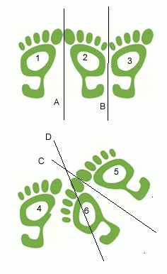 What are Complex Numbers?