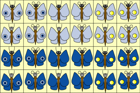 Butterfly Cards