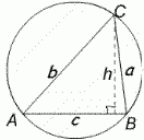 Cyclic Triangles