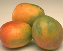 Weighing fruit Weighing fruit