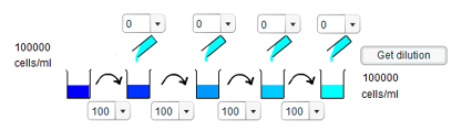 Investigating the dilution series