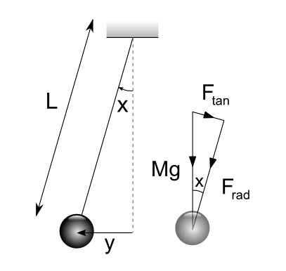 The not-so-simple pendulum 2