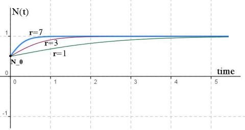 Population Dynamics - part 3