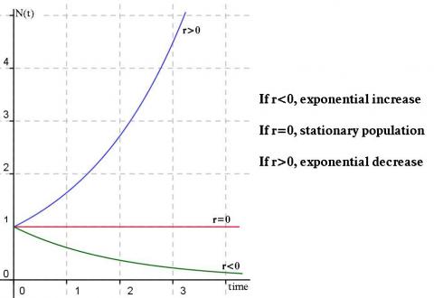 Population Dynamics - part 2