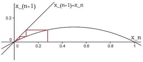 Population Dynamics - part 4