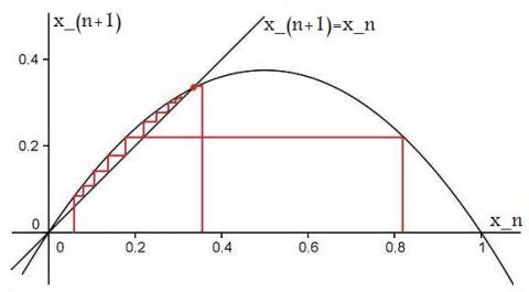 Population Dynamics - part 4