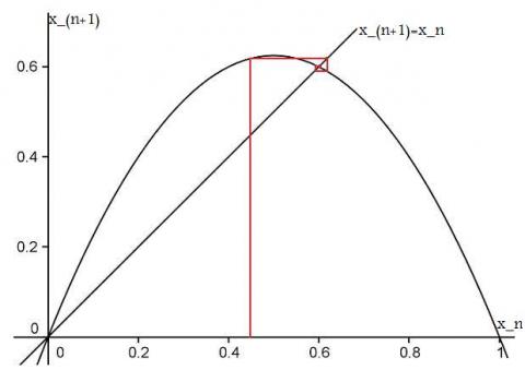 Population Dynamics - part 4