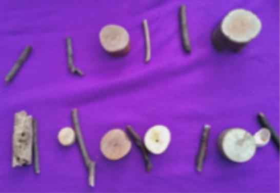 EYFS Shape for Pictures