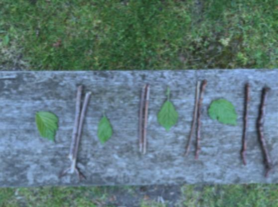 EYFS Shape for Pictures