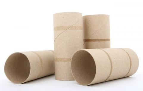 Tubes and Tunnels Four empty cardboard toilet paper rolls standing and lying on a white surface.