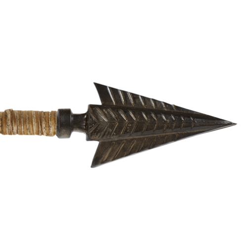 A pointed metal arrowhead on the end of an arrow.