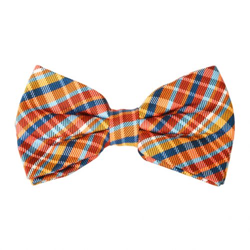 Plaid patterned bow tie.