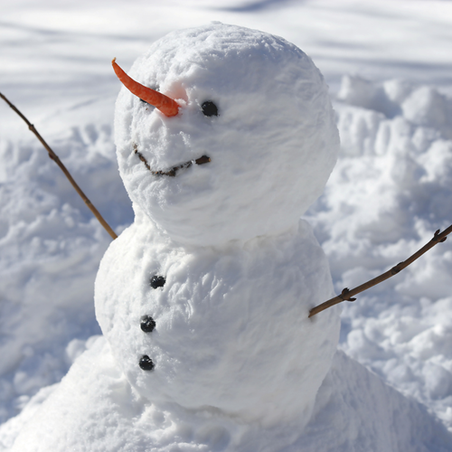 A snowman.