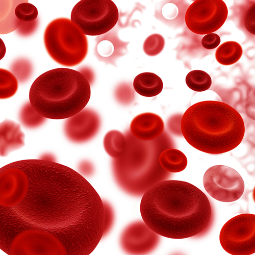 Blood cells.