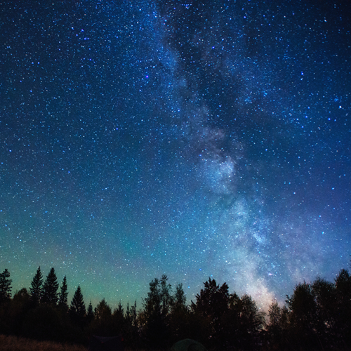 The night sky with stars above some tree silhouettes.