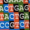 Solving the Genome Puzzle