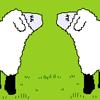 Sheep Talk