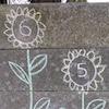 EYFS Thinking About: Sunflower Numbers