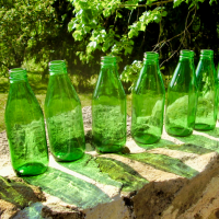 Six green glass bottles on a wall.