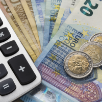 Some Euro notes and coins and a calculator.