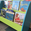 Bookcase Maths: Teaching Maths Through Your Bookshelves