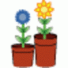 Seven Pots of Plants