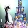 Cat Food
