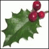 Holly