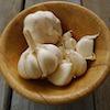 Growing Garlic
