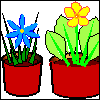 More plant spaces