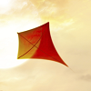 Kite in a Square
