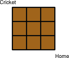 Jumping Cricket Jumping Cricket