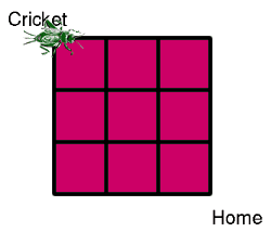 Jumping Cricket Jumping Cricket