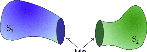 Euler's Formula and Topology