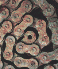 Some Spirals and Tessellations