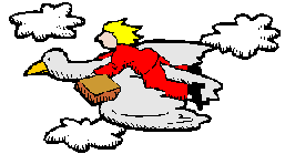 A Flying Holiday