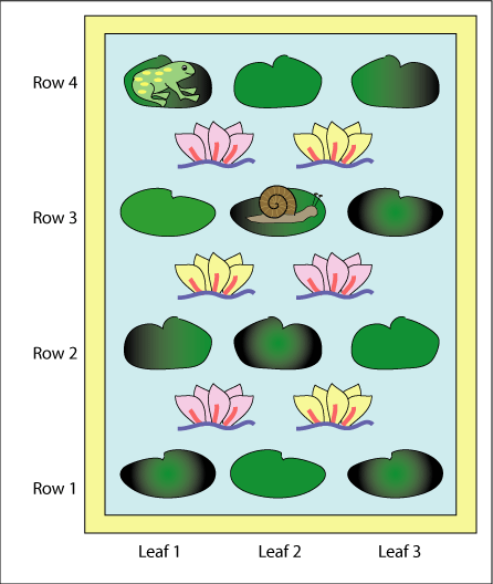 The Lily Pond