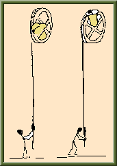 Ding Dong Bell