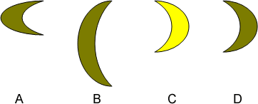 Shape Mapping